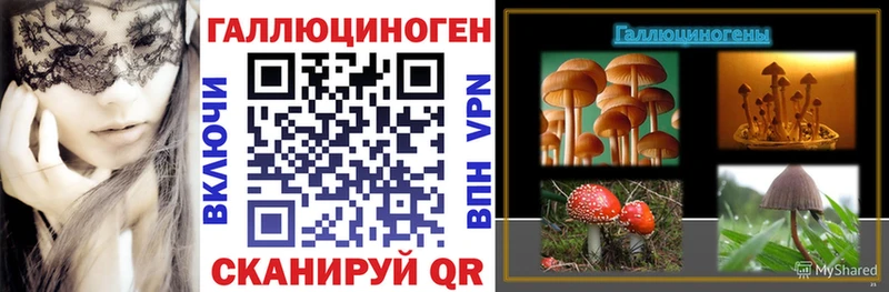 Псилоцибиновые грибы ЛСД  Купить  Вяземский 